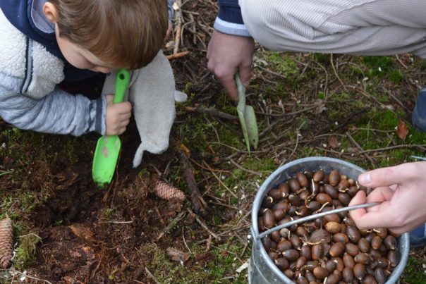 Enfant qui ramasse des noisettes