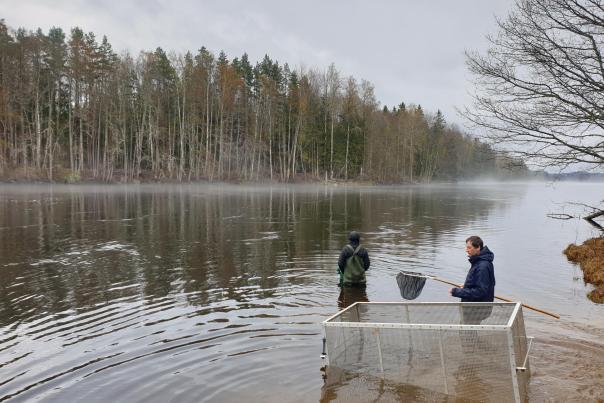 Salmon-Eli Thoré - Credit Michael Bertram