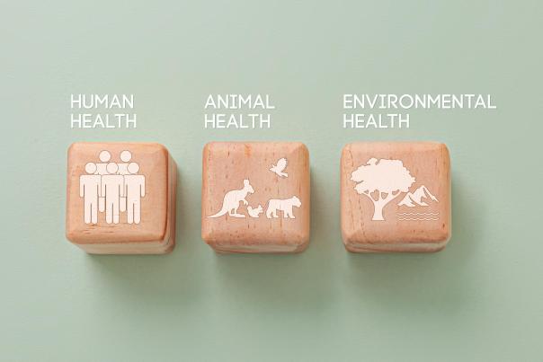 Visuel représentant le concept "one health"