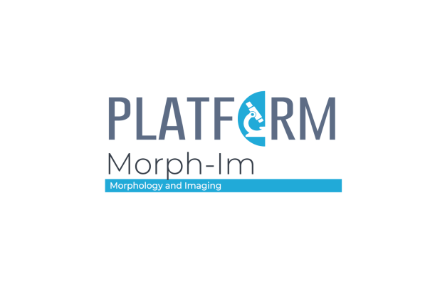 Logo de la plateforme Morphologie et Imagerie (Morph-im) de l'Unamur