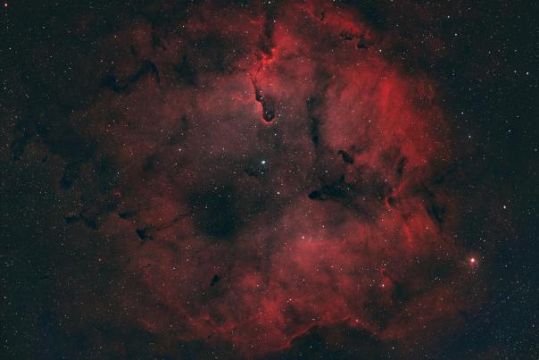 Nébuleuse de l'éléphant