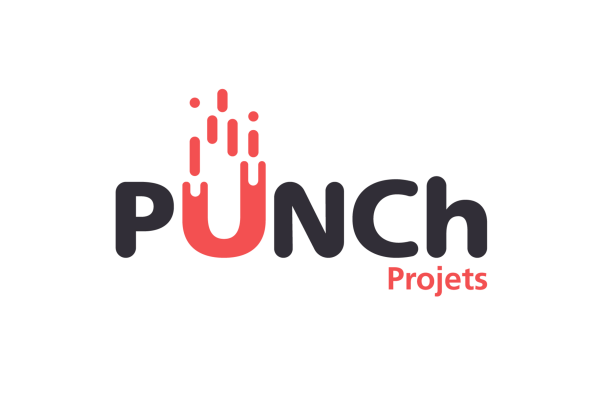 Logo PUNCh Projets
