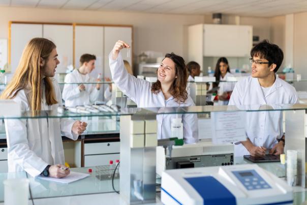 Les études en sciences biomédicales