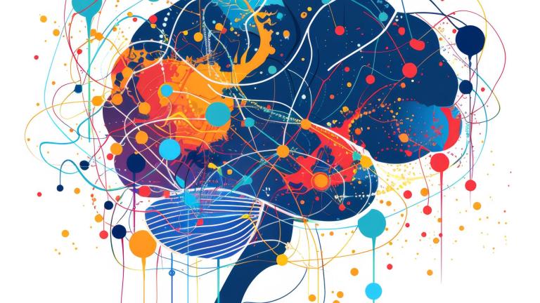 Certificat en santé mentale et vieillissement - cerveau