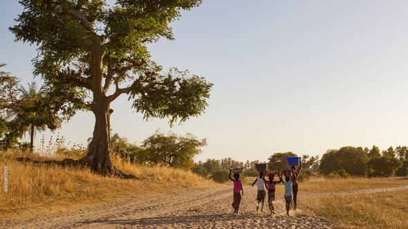 Enfants Sénégal Genre Femmes