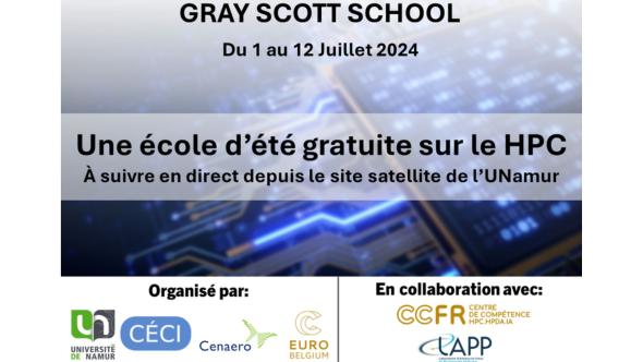 Affiche pour l'école d'été Gray-Scott