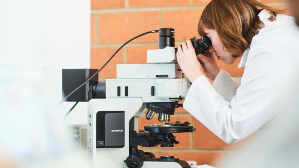 Chercheuse de l'UNamur qui regarde au microscope