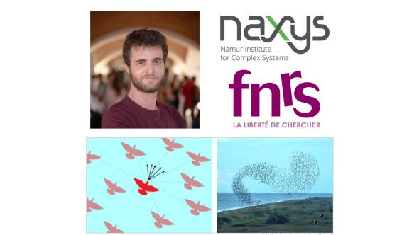 Photo de Maxime Lucas, logos naXys et FNRS et illustration d'un vol groupe d'oiseaux (schéma et photo)