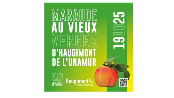 Affiche de la maraude à Haugimont (UNamur) du 19-10-2025