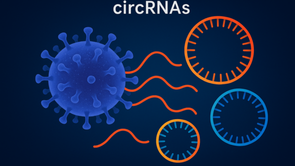 circRNAs