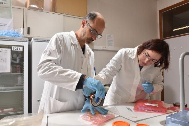 Démonstration du travail sur le projet RISE