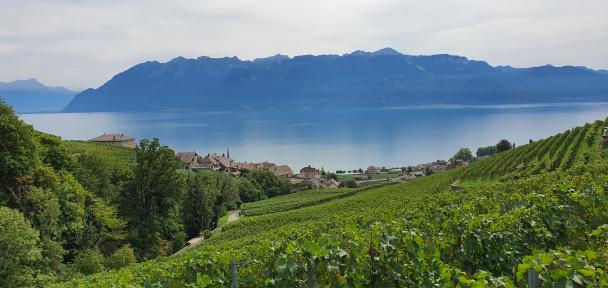 Paysage lors du séjour d'Anne Leruth