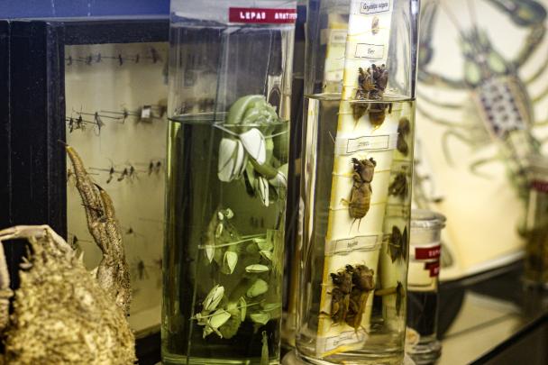 Matériel de biologie