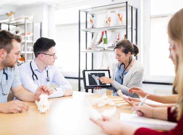 Chercheurs qui discutent de l'anatomie