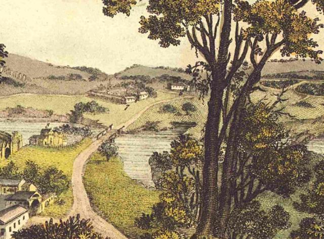 Une image tirée d'un ouvrage Speeckaert