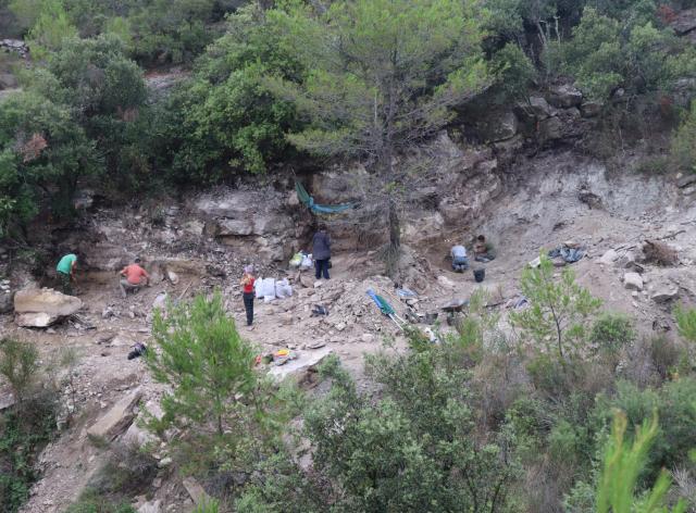 Fouilles à la recherche de fossiles vieux de 50 millions d’années, dans le Minervois (France)