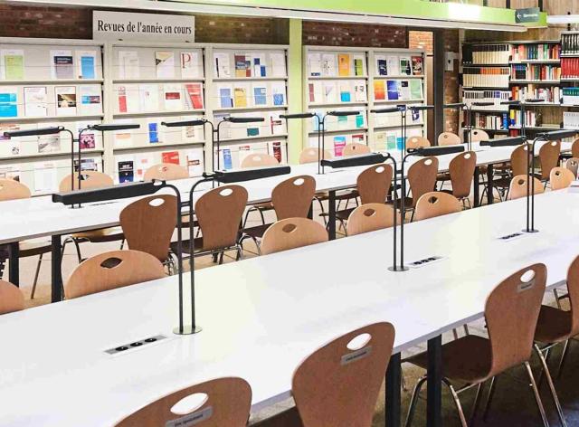 Des étudiants à la bibliothèque de la Faculté de droit