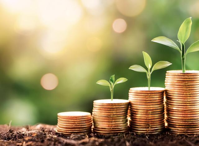 Pièces de mnnaie empilées avec une petiteplante qui pousse au sommet