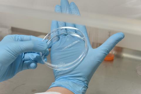 Démonstration du travail sur le projet RISE