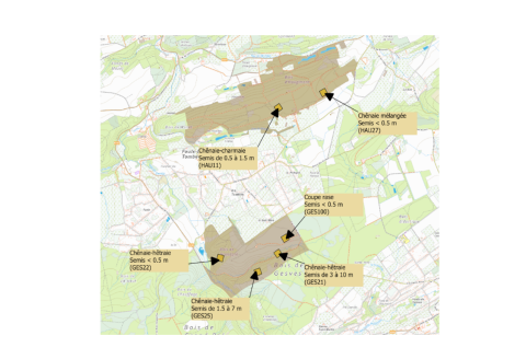 Domaine d'Haugimont - Plan des placettes d'expérimentation