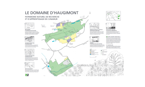 Plan du Domaine d'Haugimont