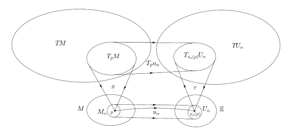 Illustration de François Staelens