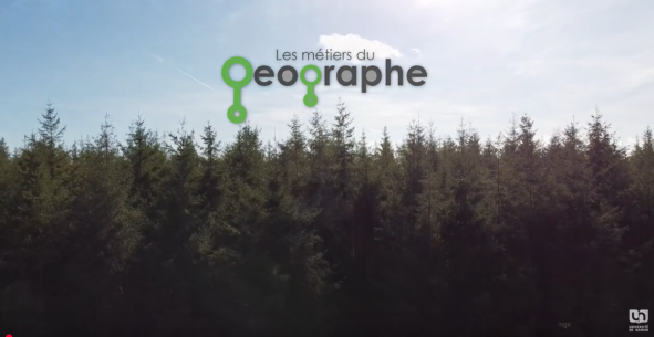 Paysage d'Ardennes, forêt de sapins