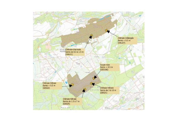 Domaine d'Haugimont - plan montrant les emplacements des 6 placettes étudiées