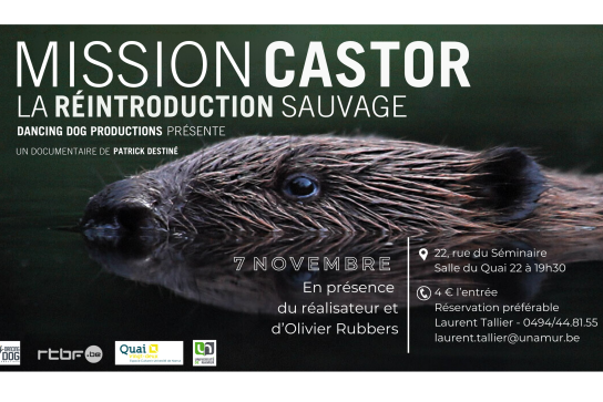 Affiche de l'évènement Mission Castor