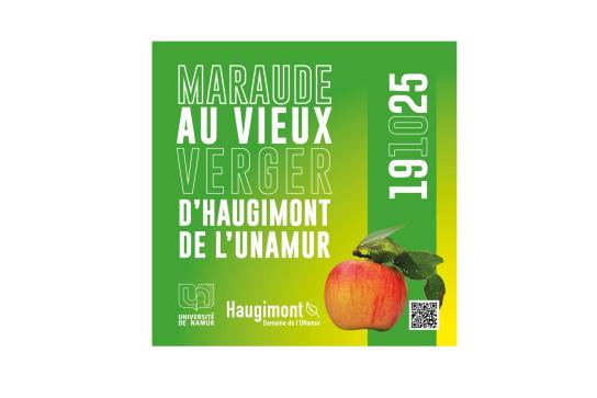 Affiche de la maraude à Haugimont (UNamur) du 19-10-2025