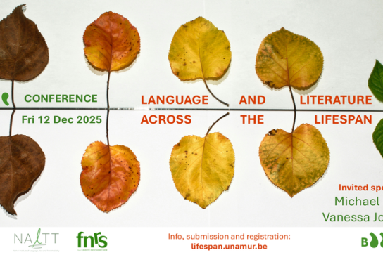 Affiche Baahe conference