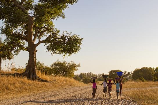 Enfants Sénégal Genre Femmes