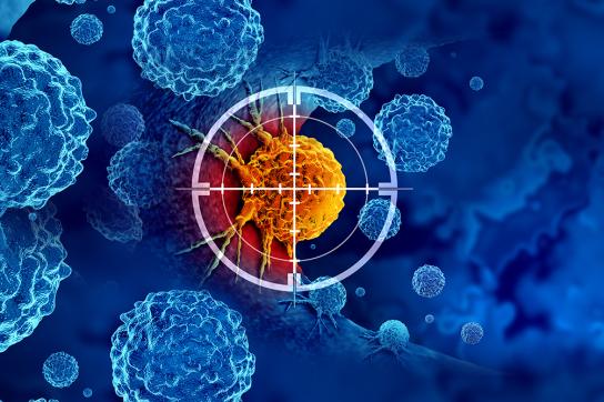Cellule cancer prostate 