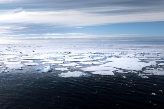 Photo de la banquise et de la mer