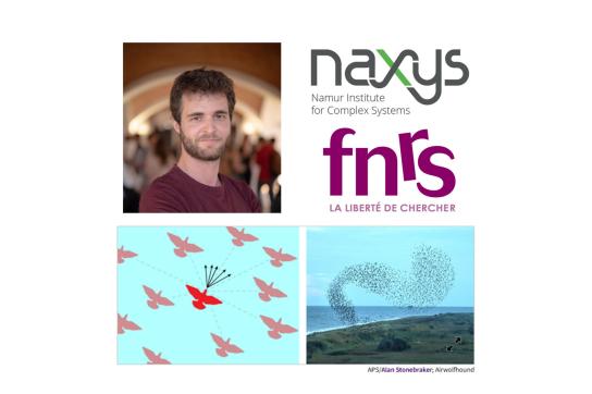 Photo de Maxime Lucas, logos naXys et FNRS et illustration d'un vol groupe d'oiseaux (schéma et photo)